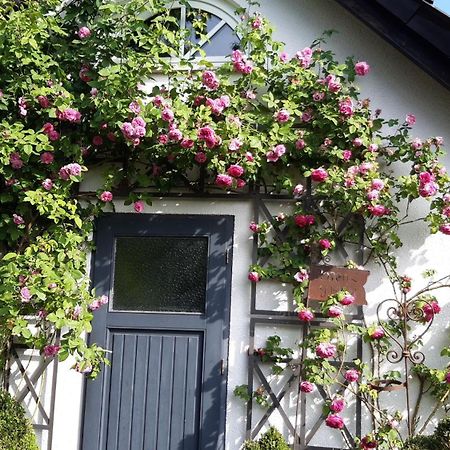 Tina'S Home Gutersloh Exterior photo
